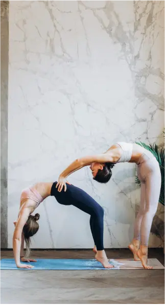 Somos tú refugio de paz y bienestar